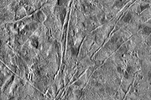 Flows on Europa